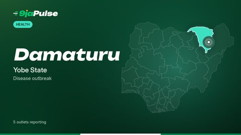 9jaPulse graphic: map of Nigeria highlighting Damaturu, Yobe State