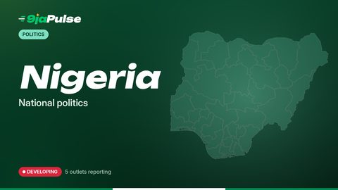9jaPulse graphic: Politics – Nigeria, National politics