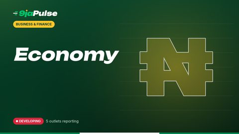 9jaPulse graphic: Economy – business & finance illustration (abstract)