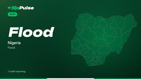 9jaPulse graphic: News – Flood, Nigeria